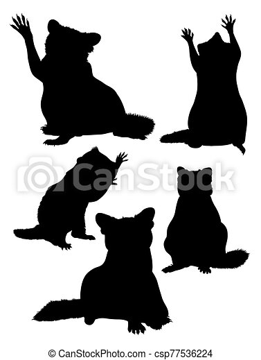 Detail Raccoon Silhouette Vector Nomer 50