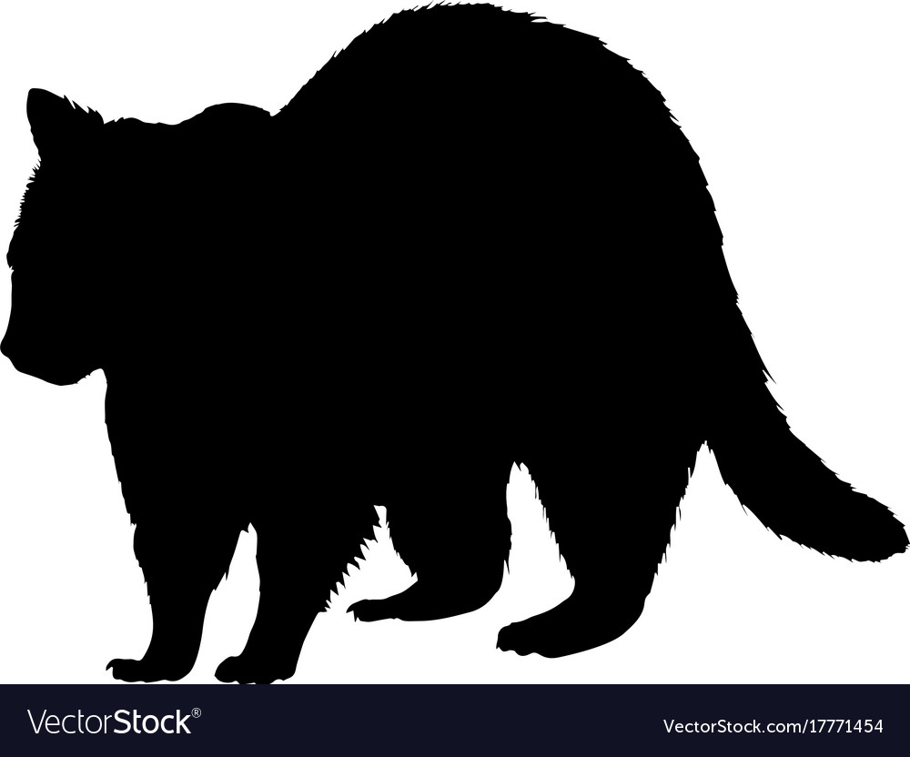 Detail Raccoon Silhouette Vector Nomer 56