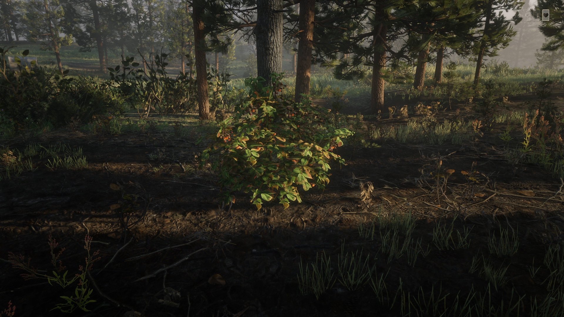 Detail Red Dead Redemption 2 Blackberry Nomer 6