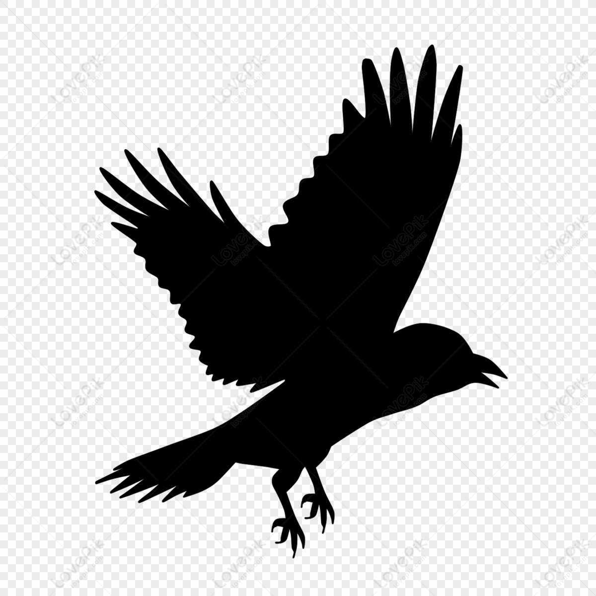 Detail The Crow Png Nomer 24