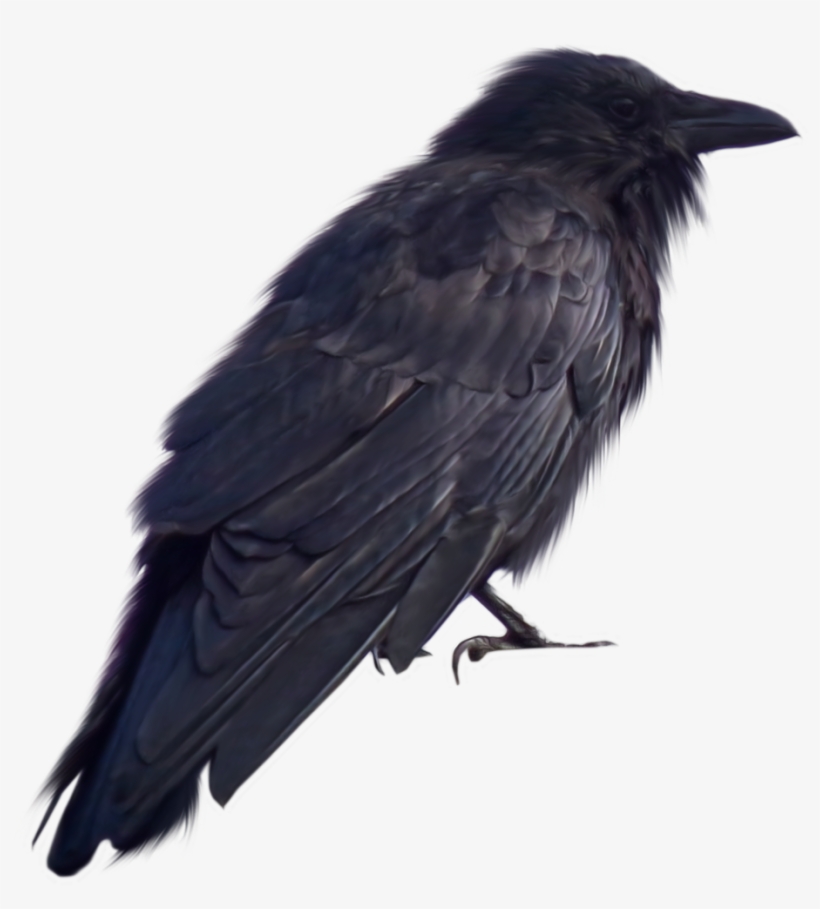 Detail The Crow Png Nomer 45