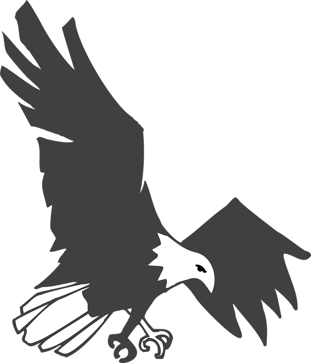 Detail Adler Fliegend Nomer 10