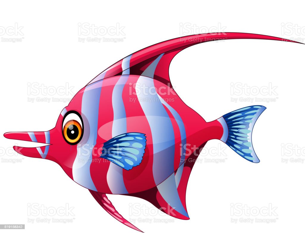 Detail Animasi Ikan Lucu Nomer 43