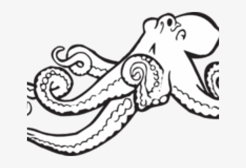 Detail Black And White Octopus Clipart Nomer 43