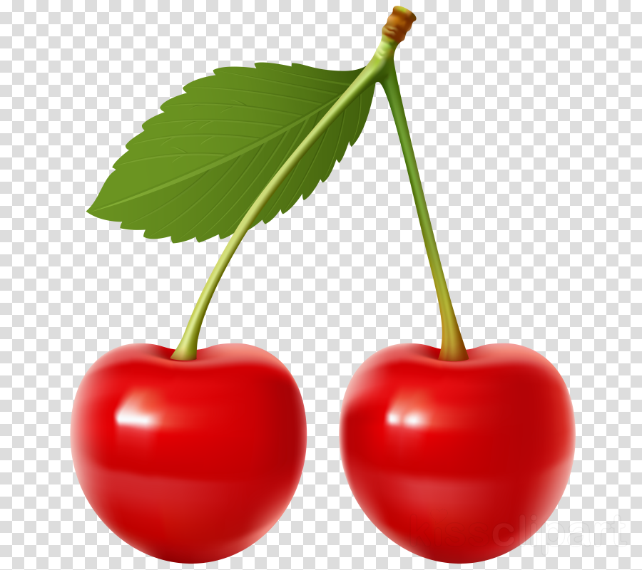 Detail Cherry Transparent Nomer 3