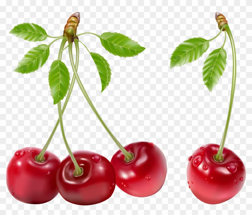 Detail Cherry Transparent Nomer 41