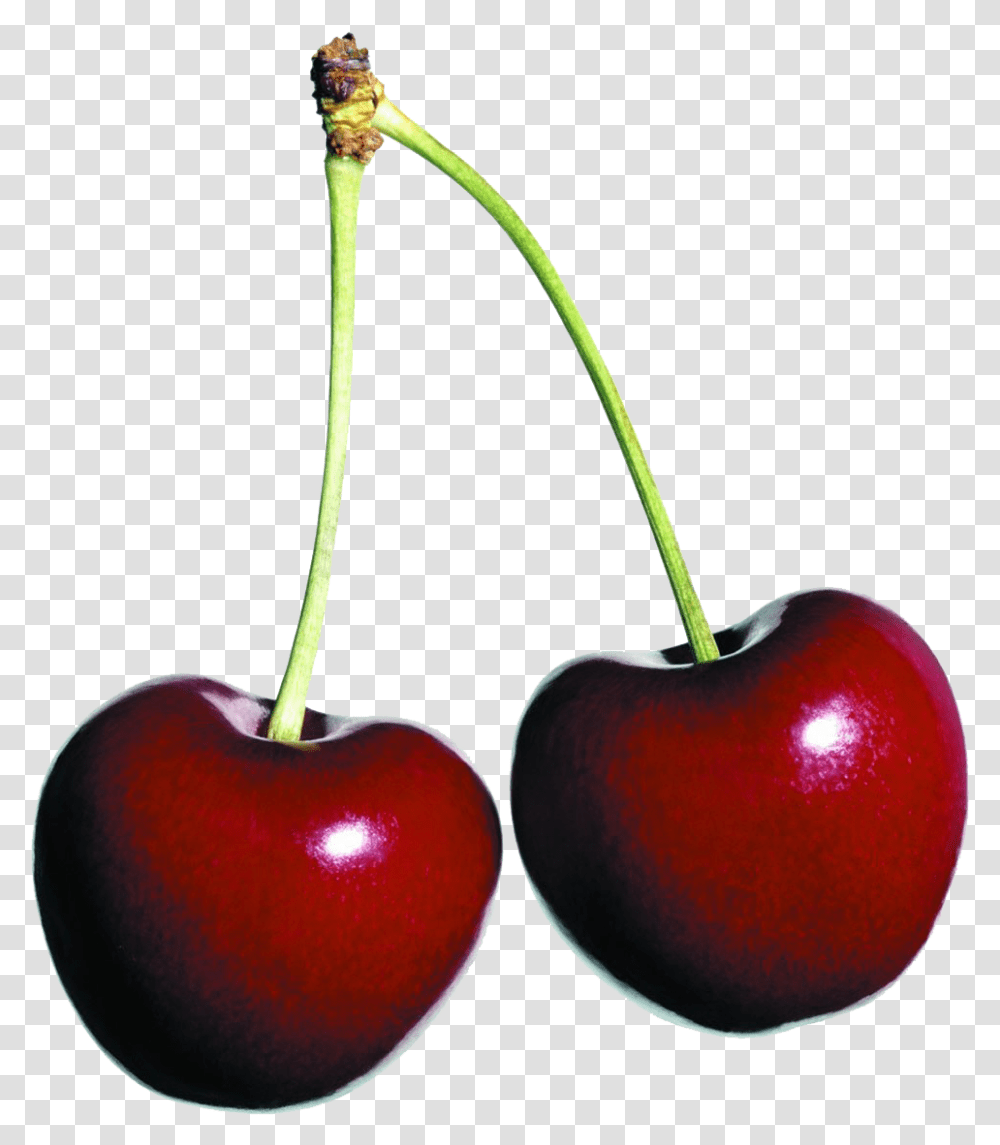 Detail Cherry Transparent Nomer 46