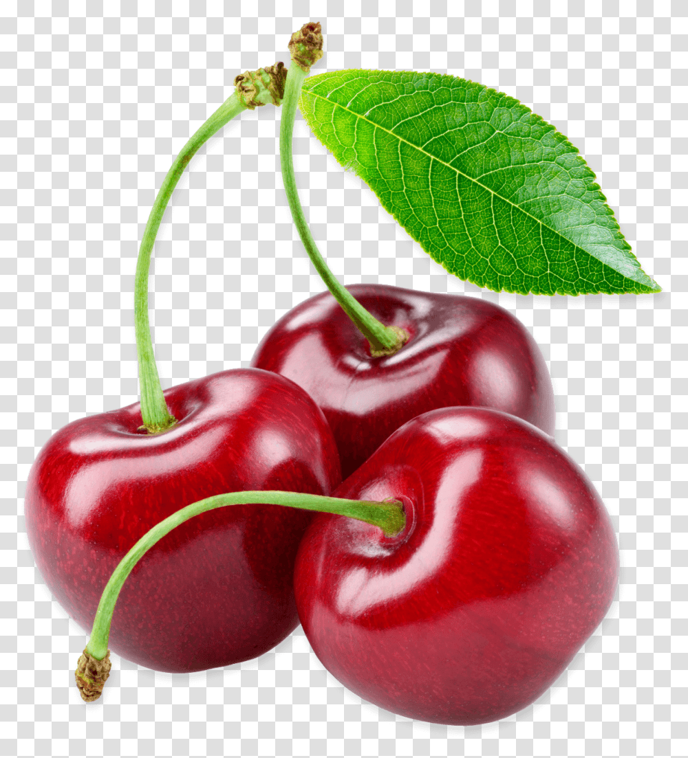 Detail Cherry Transparent Nomer 5