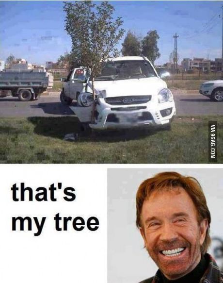 Detail Chuck Norris Memes Car Nomer 15