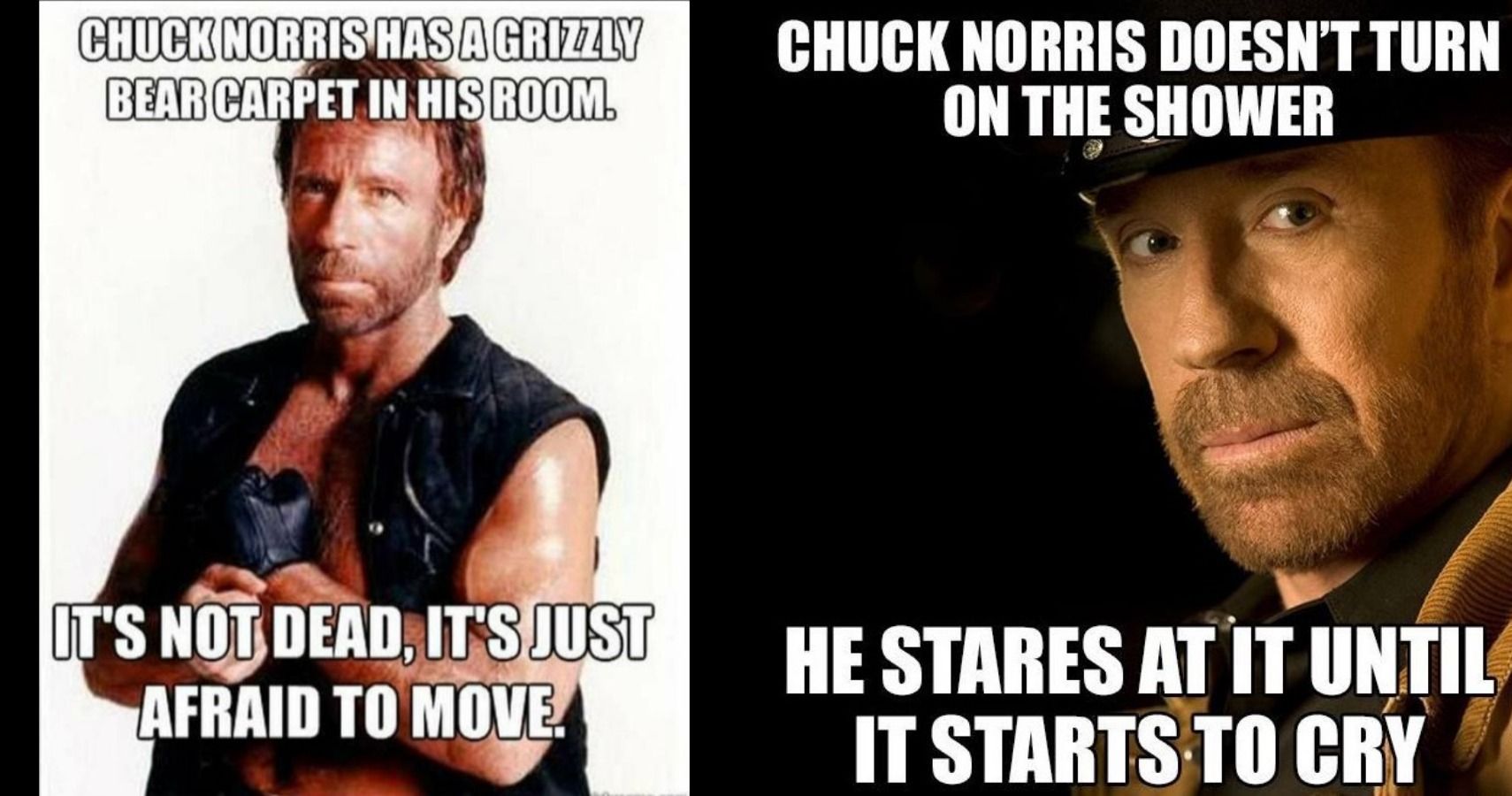 Detail Chuck Norris Memes Car Nomer 37