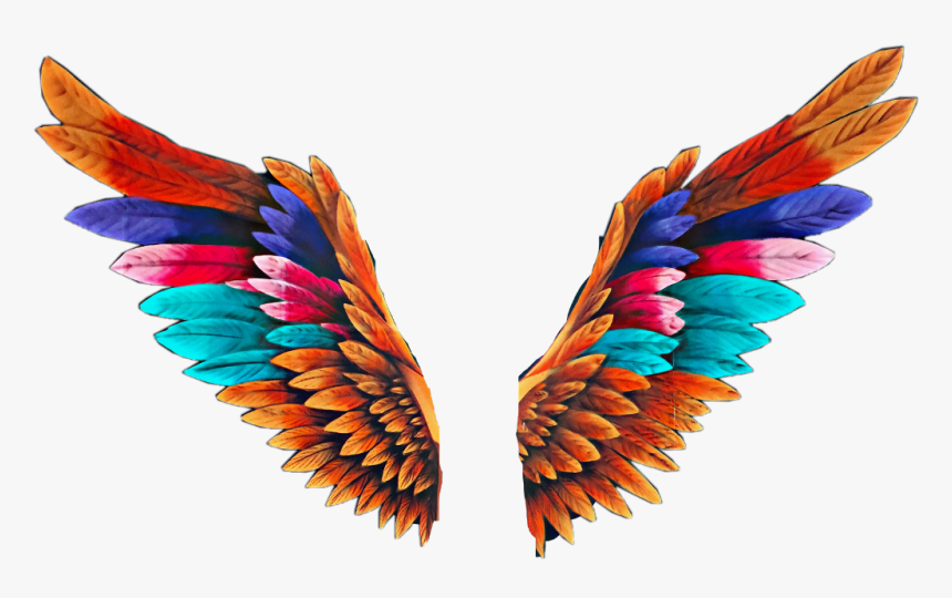 Detail Colorful Wings Nomer 2