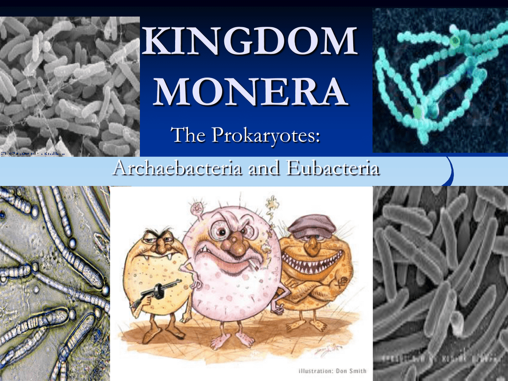 Detail Gambar Bakteri Monotrik Nomer 37