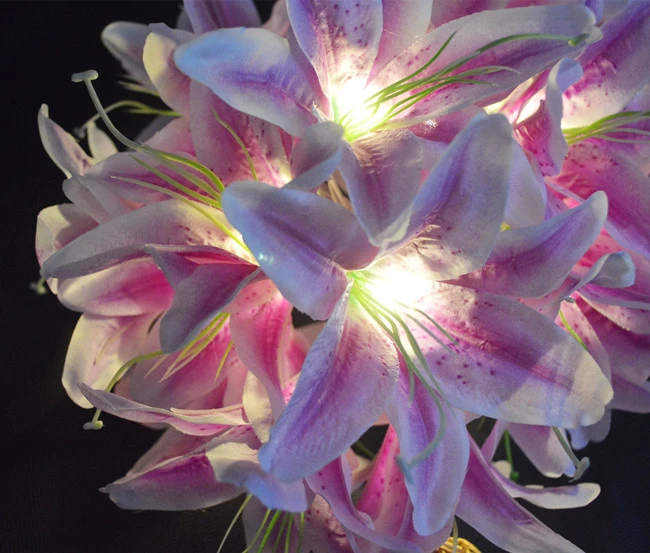 Detail Gambar Bunga Lili Peri Nomer 49