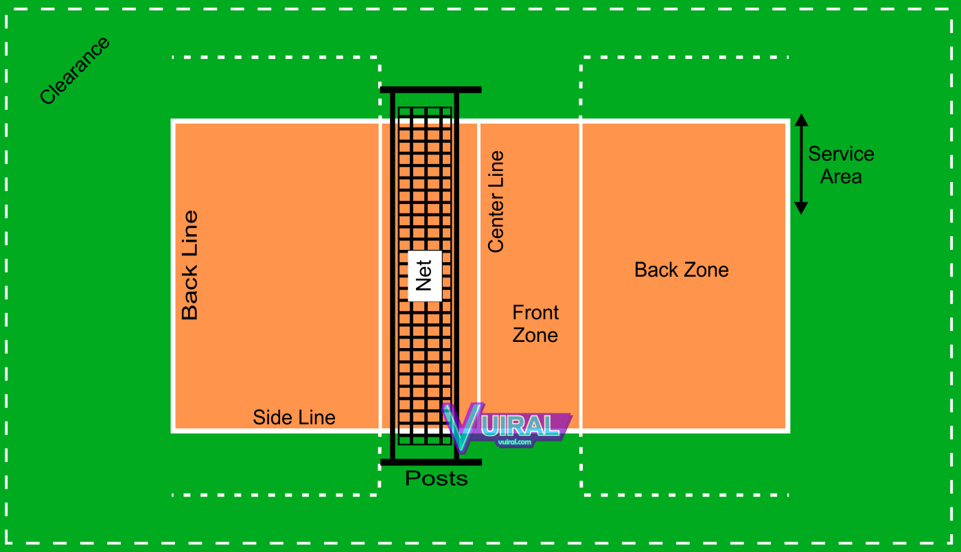 Detail Gambar Sketsa Lapangan Bola Voli Nomer 7