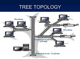 Detail Gambar Topologi Pohon Nomer 16