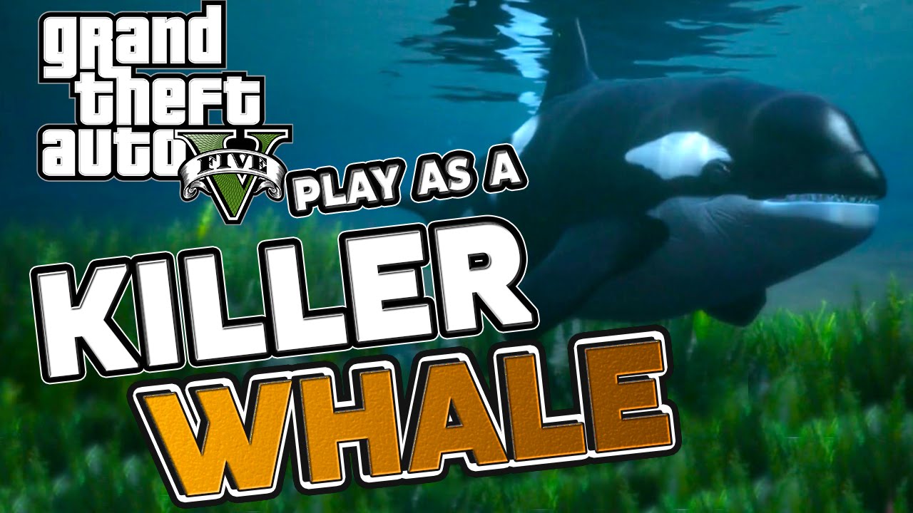Detail Gta V Killer Whale Nomer 11
