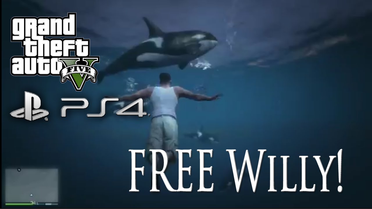 Detail Gta V Killer Whale Nomer 12