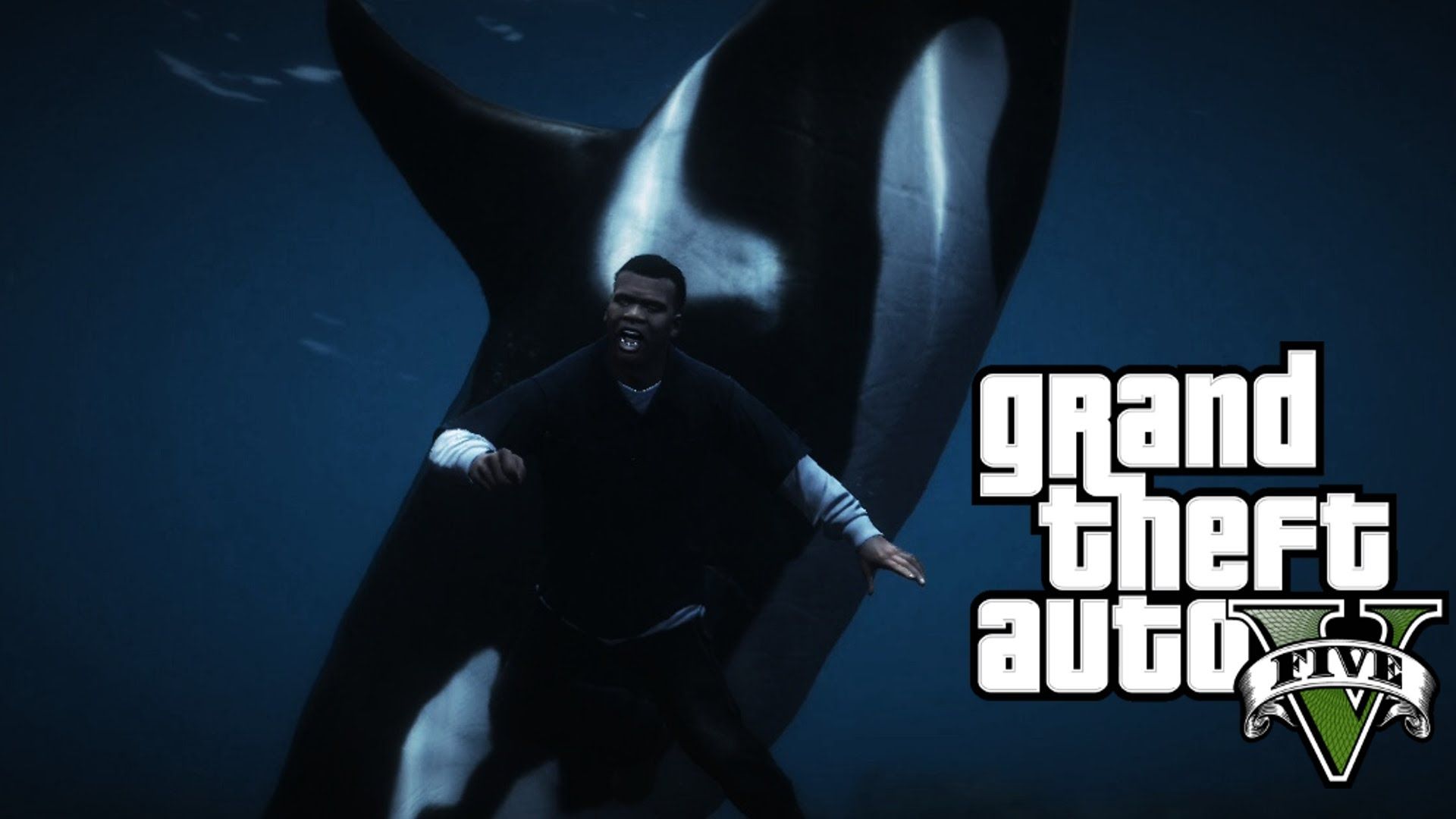 Detail Gta V Killer Whale Nomer 14