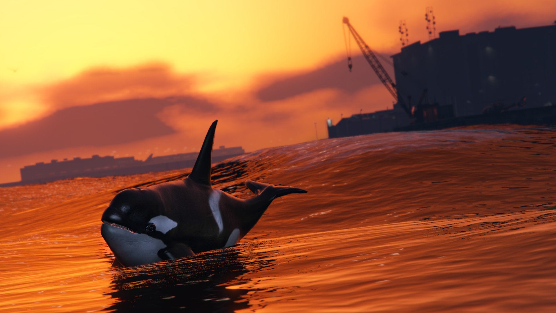 Detail Gta V Killer Whale Nomer 5