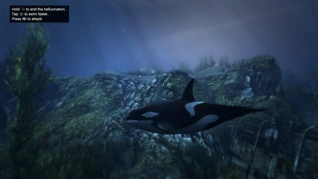 Detail Gta V Killer Whale Nomer 6