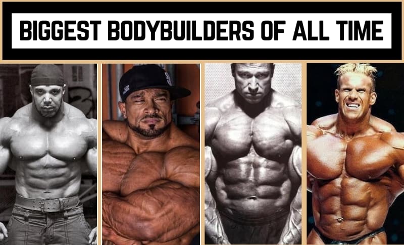 Detail Image Of Bodybuilder Nomer 11