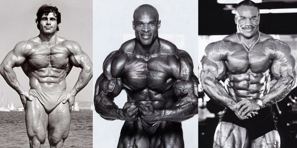 Detail Image Of Bodybuilder Nomer 12