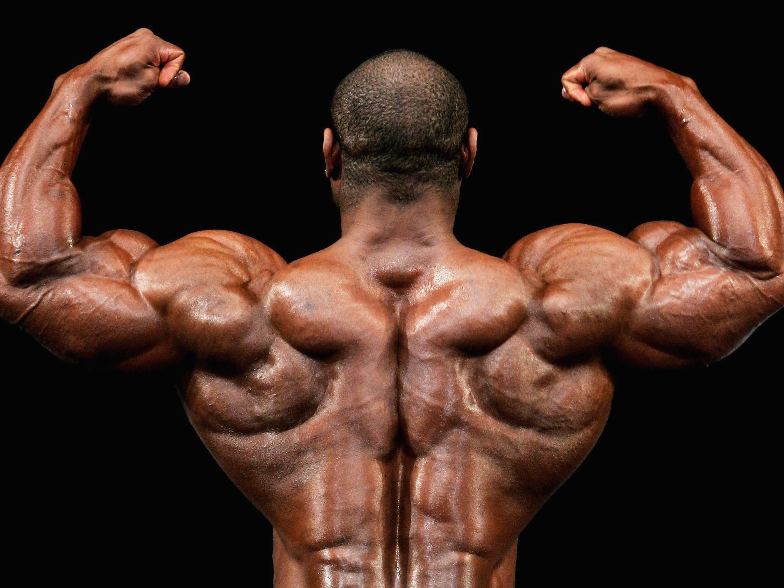 Detail Image Of Bodybuilder Nomer 14