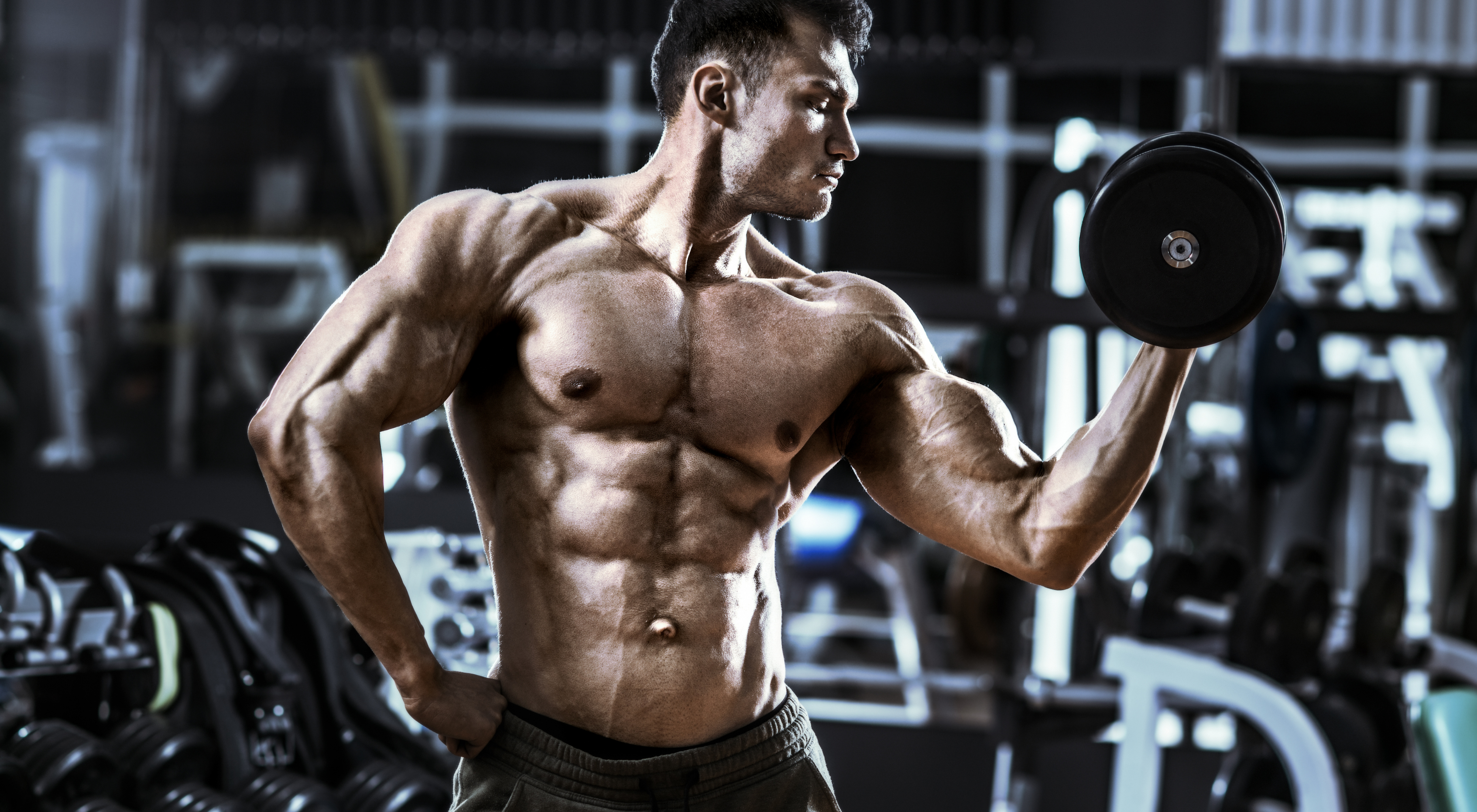 Detail Image Of Bodybuilder Nomer 34