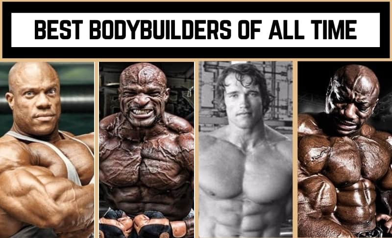 Detail Image Of Bodybuilder Nomer 41