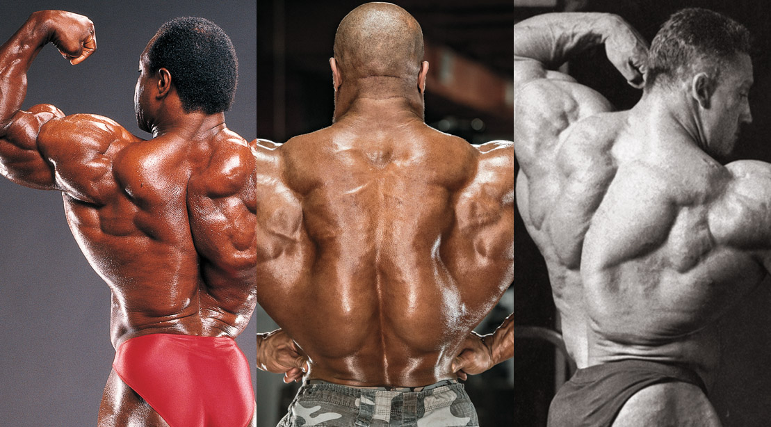 Detail Image Of Bodybuilder Nomer 8