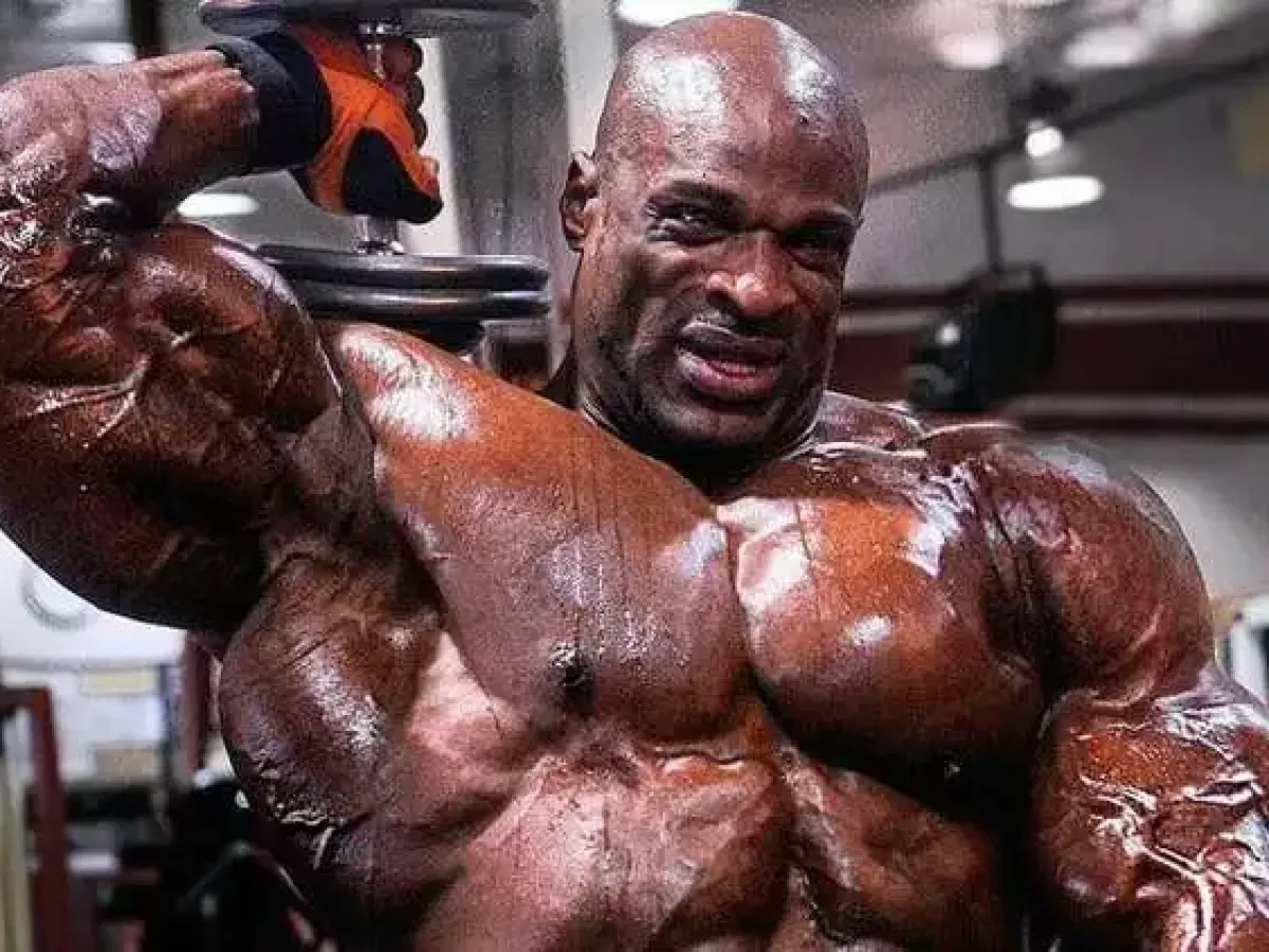 Detail Image Of Bodybuilder Nomer 10