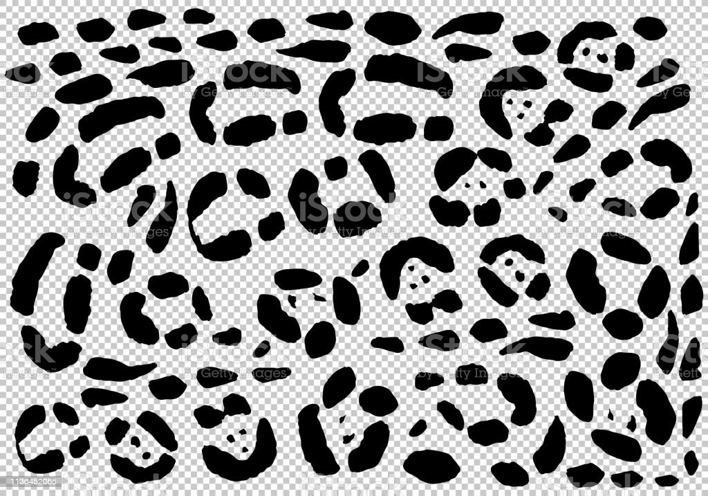 Detail Leopard Print Transparent Background Nomer 10
