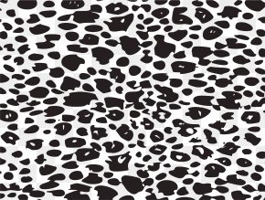 Detail Leopard Print Transparent Background Nomer 39