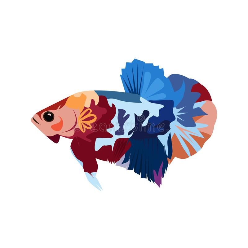 Detail Logo Ikan Betta Nomer 19
