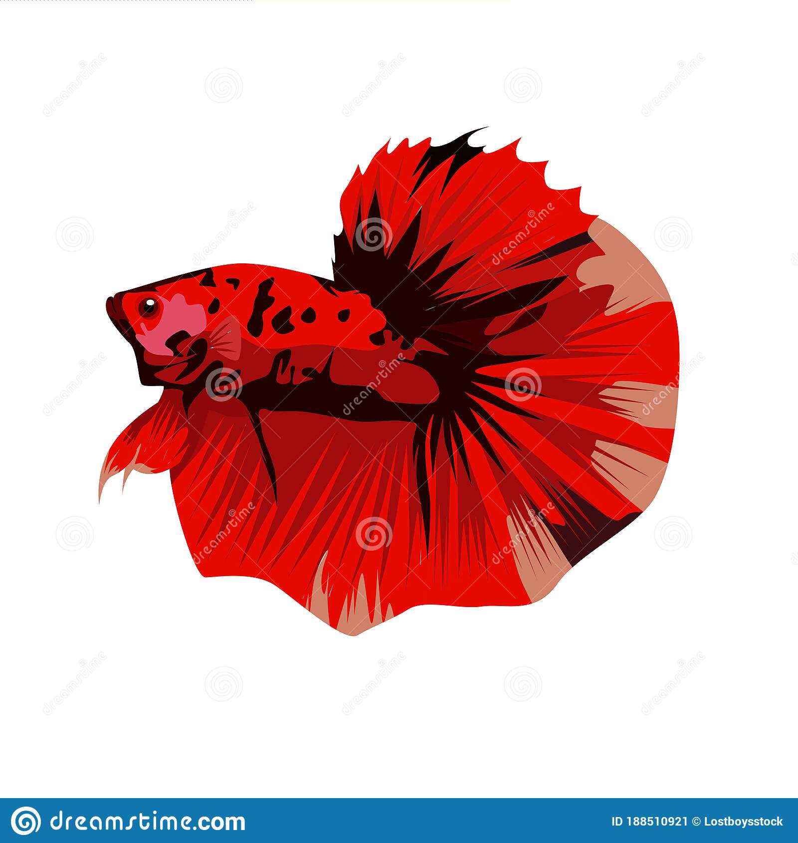 Detail Logo Ikan Betta Nomer 25