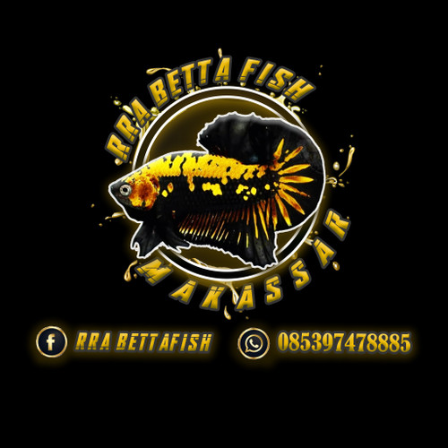 Detail Logo Ikan Betta Nomer 27