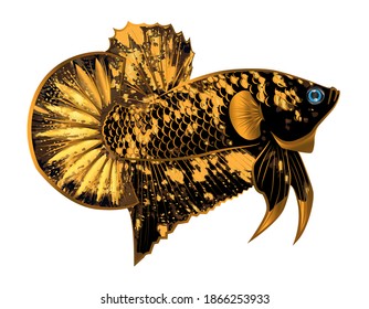 Detail Logo Ikan Betta Nomer 48