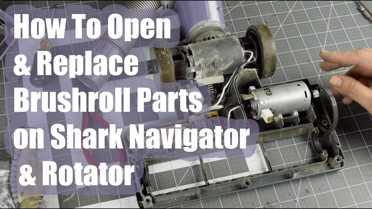 Detail Shark Navigator Roller Brush Not Working Nomer 9