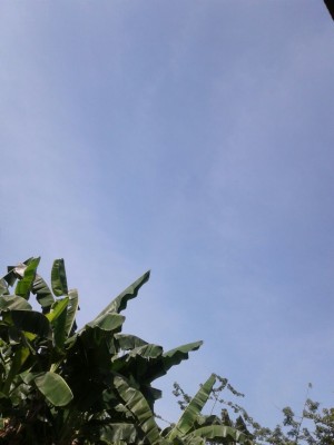 Detail Backgroun Langit Nomer 31
