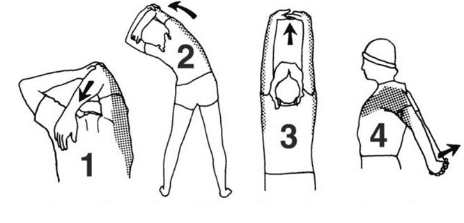 Detail Berilah Tiga Contoh Gerakan Untuk Melatih Otot Tangan Nomer 19