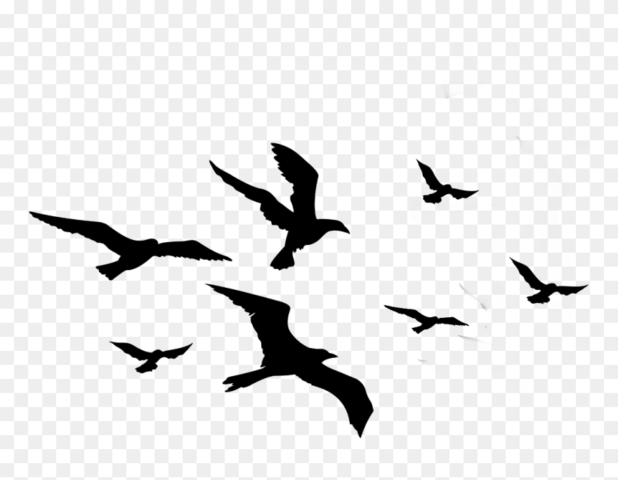 Detail Flying Bird Silhouette Transparent Background Nomer 2