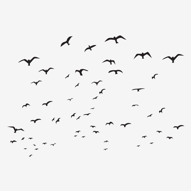 Detail Flying Bird Silhouette Transparent Background Nomer 24