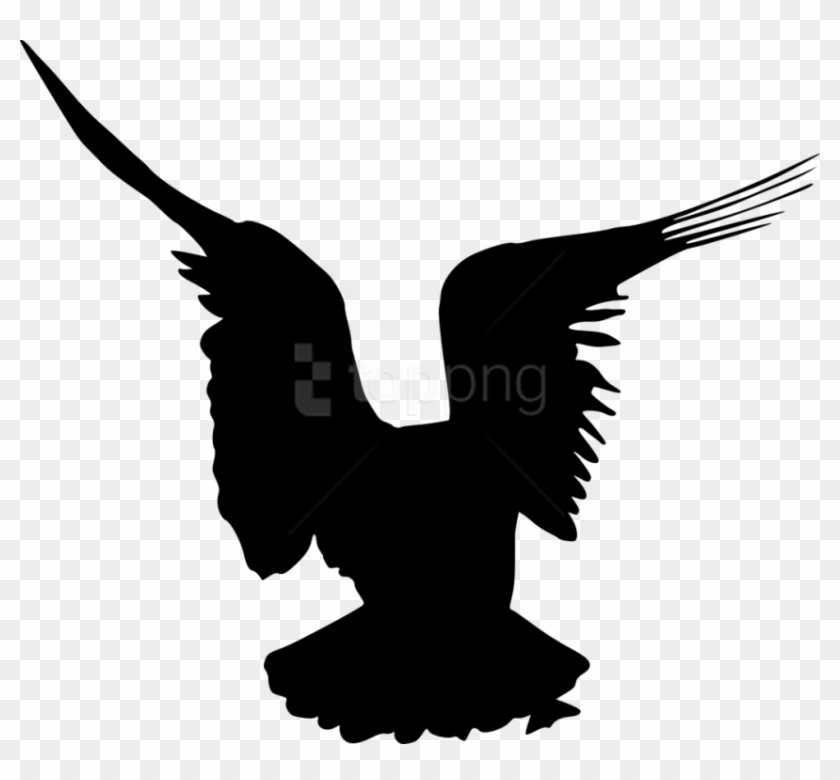 Detail Flying Bird Silhouette Transparent Background Nomer 32