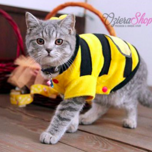 Detail Gambar Baju Kucing Nomer 20