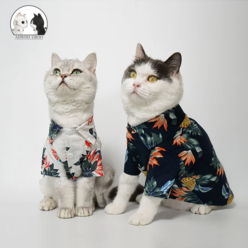 Detail Gambar Baju Kucing Nomer 44