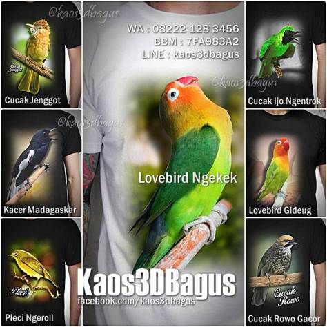 Detail Kaos Lovebird 3d Nomer 33