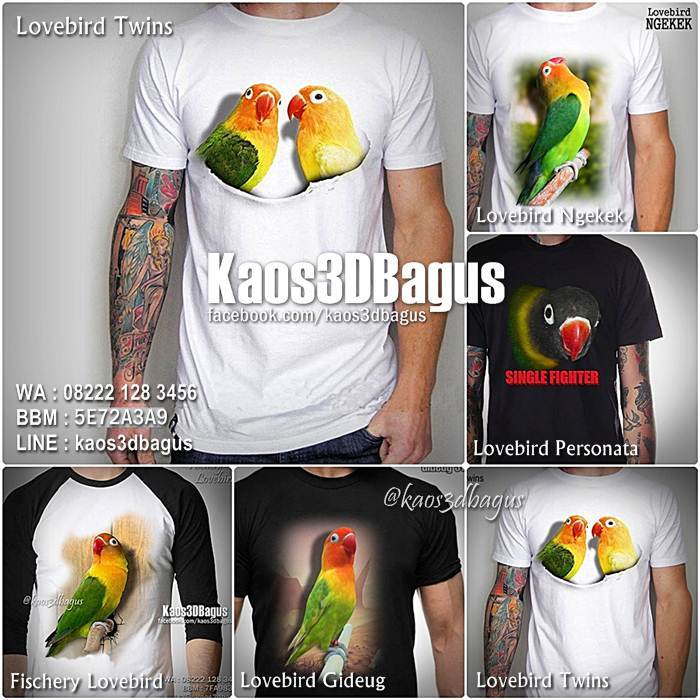 Detail Kaos Lovebird 3d Nomer 38