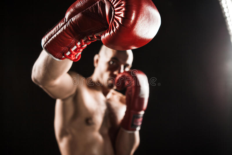 Detail Kick Boxing Images Nomer 43