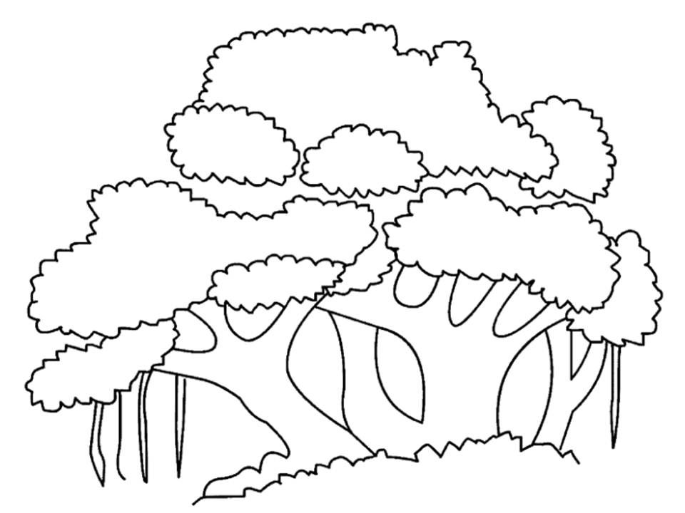 Detail Menggambar Pohon Beringin Nomer 12