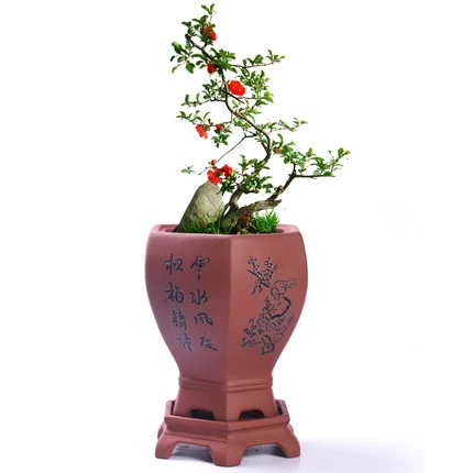 Detail Pot Bonsai Antik Nomer 51